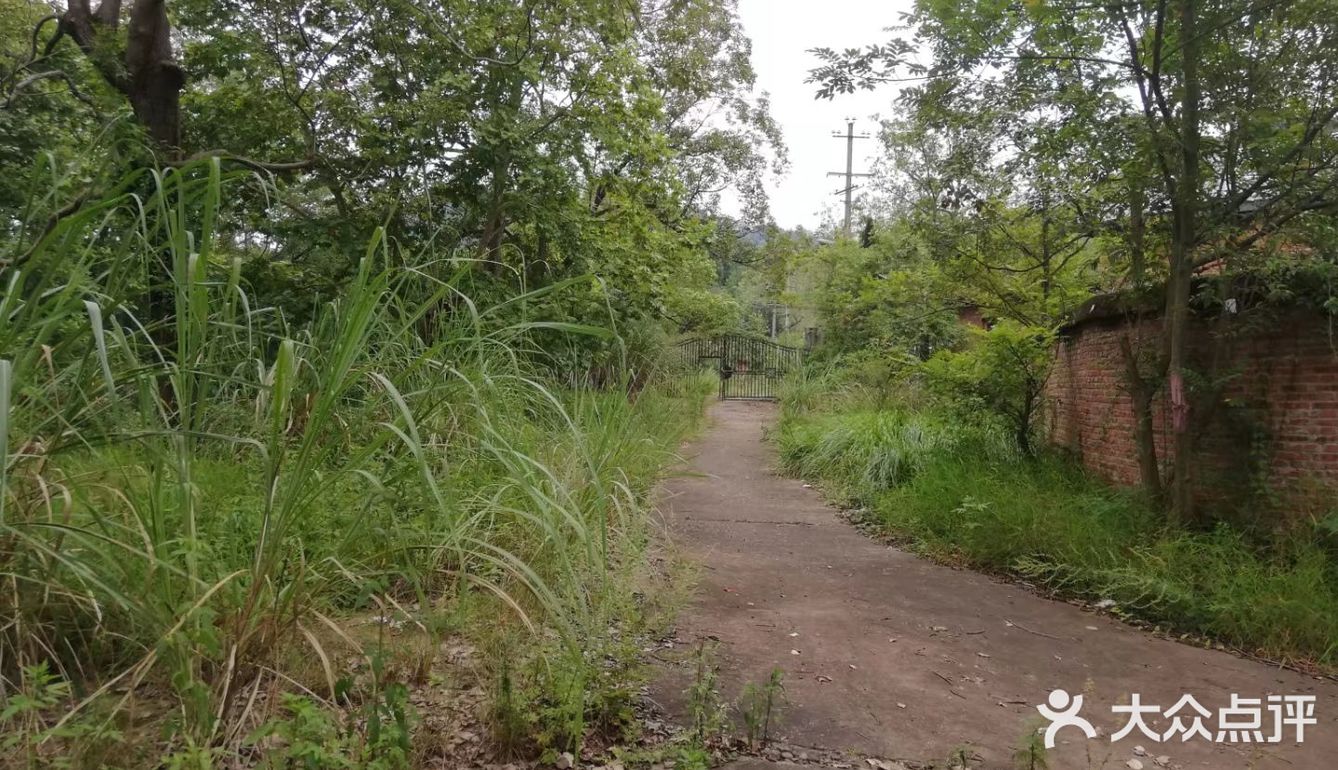 山里废弃的工厂【龙泉山北段，锅炉厂】