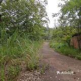 山里废弃的工厂【龙泉山北段，锅炉厂】