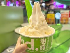 -Salud撒露欧洲冻酸奶(五道口购物中心店)