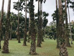 -中国科学院西双版纳热带植物园
