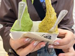 -野人先生现做冰淇淋(西安赛格店)