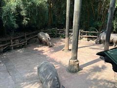 -长鹿旅游休博园