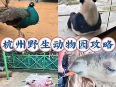 -杭州野生动物世界