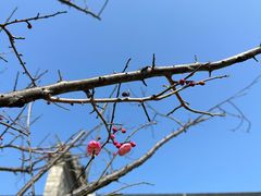 -百年尹氏汤包(湖南路狮子桥店)