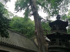 -青岛崂山太清宫