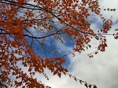 -叠溪松坪沟景区