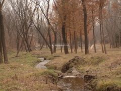 -白水寺森林公园