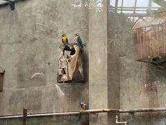 -大连森林动物园