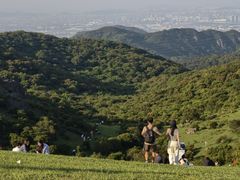 -大姆山草场
