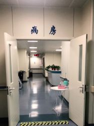 点击看大图 -八大处整形