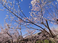 -三里河公园