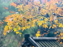 -藏龙百瀑风景区