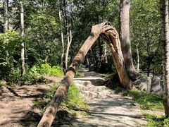 -玉渡山自然风景区