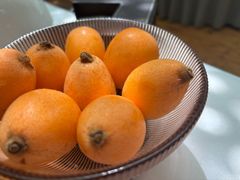 -香蜜轩·粤菜·宴会(世界之窗店)