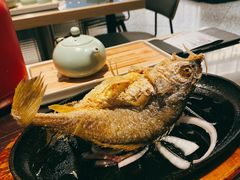 潮煎黄花鱼-潮界(虹桥新天地店)