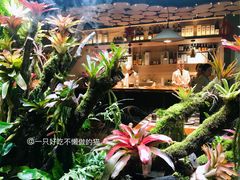 -森味薪火烧•烧鸟居酒屋•日本料理(望京店)
