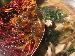 菌汤鸳鸯锅-大龙燚火锅