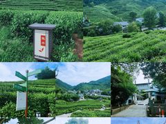 -十里琅珰