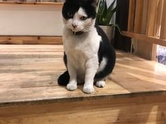 -猫的天空之城概念书店(杭州南宋御街店)