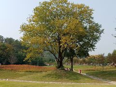 -黄陂区野村谷景区