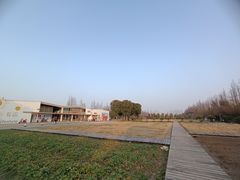 -前小桔亲子创意农场·草莓采摘·露营烧烤