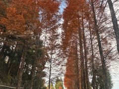 -泽雅景区