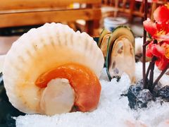 -丽江庭院之爱在路上(西单店)