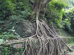 -太和古洞