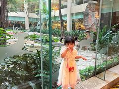 -白虎自助餐厅·真老虎·景观自助餐厅(广州长隆酒店)