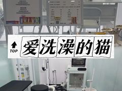 -爱洗澡的猫(望京店)