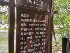 -桃花堤公园