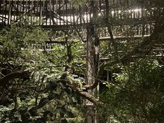 -福道