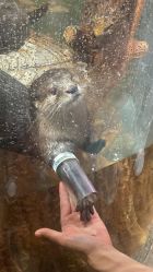 -Zoolung Zoolung动物主题公园(海信广场店)