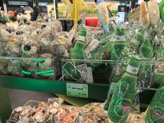 -青岛胶东国际机场