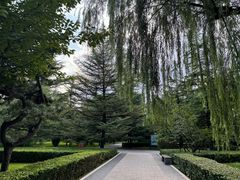 -迎泽公园