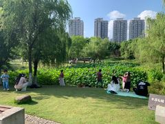 -沐仙湖湿地公园