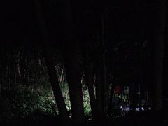 -广州市帽峰山景区