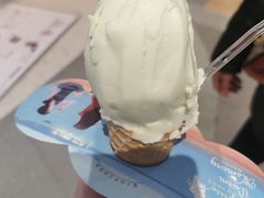 奇异果冰淇淋-野人先生现做冰淇淋(西安赛格店)