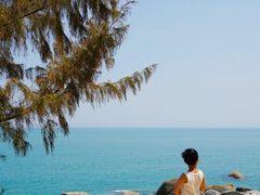-广东惠东海龟国家级自然保护区
