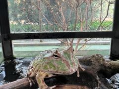 -南宫五洲植物乐园