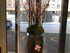 -北京康莱德酒店