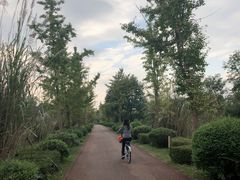 -白鹭湾湿地公园