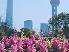 -公平路渡口(轮渡站)