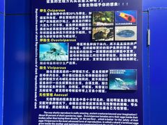 -北海海底世界