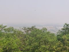 -阳台山自然风景区