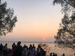 -宝安西湾红树林湿地公园