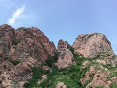 -贡格尔草原