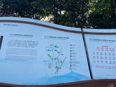 -三门江国家森林公园