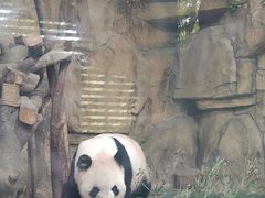 -成都动物园