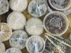 -小草糖水(海棠村店)